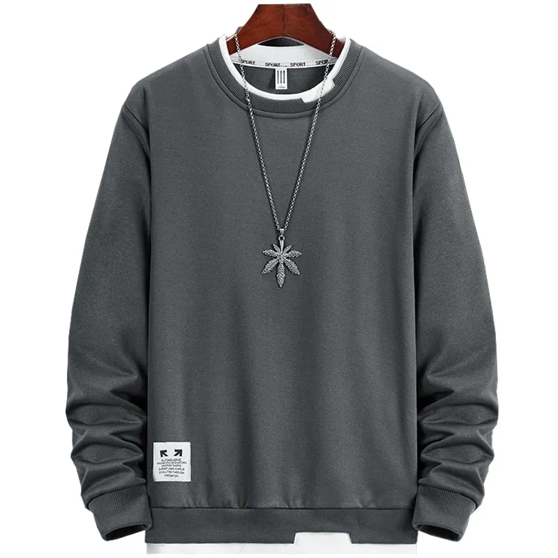 Spring Men Hoodies Sweatshirts Long Sleeve Tops Solid Casual Pullover Mens Sweatshirt Brand Coats Autumn Outerwear Hip Hop C39